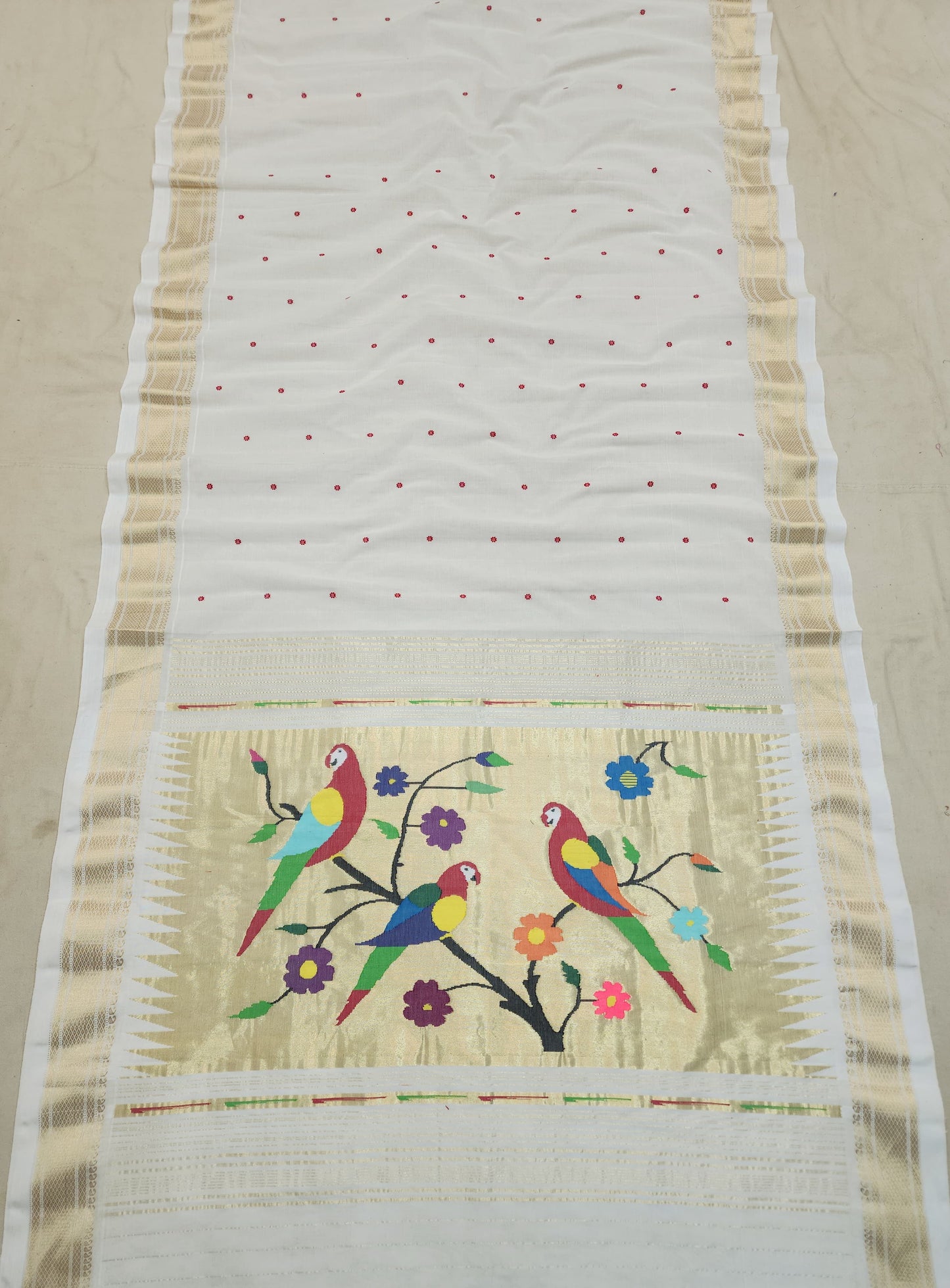 Pise | Cotton handloom paithani