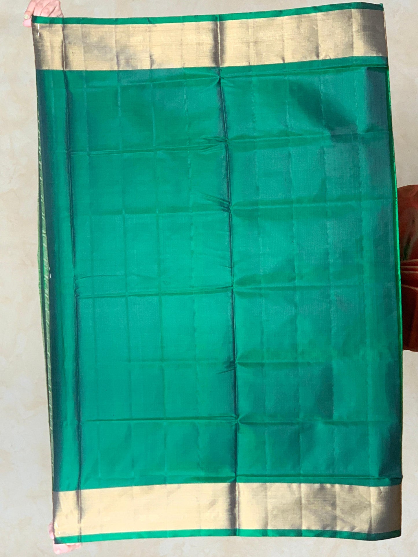 Kinshuk | Single Ikat Patola saree