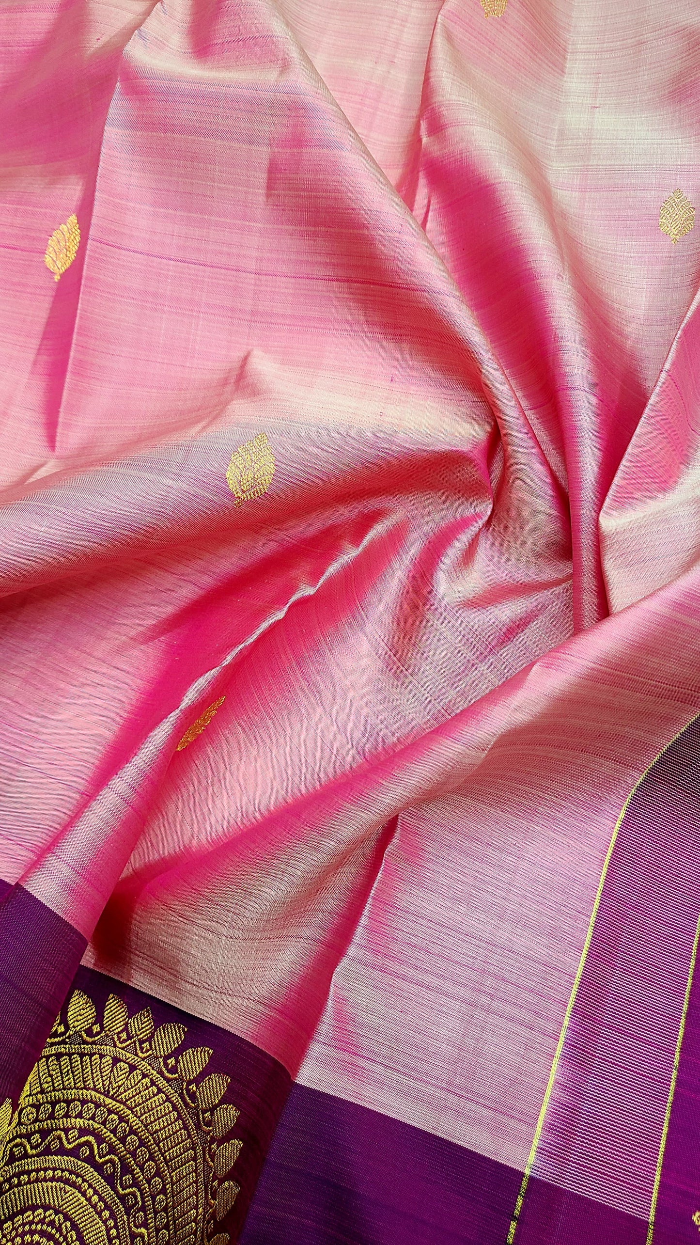 Ashish | pure silk kanjeevaram saree