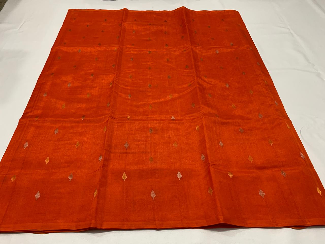Shaivi | cotton venkatagiri saree