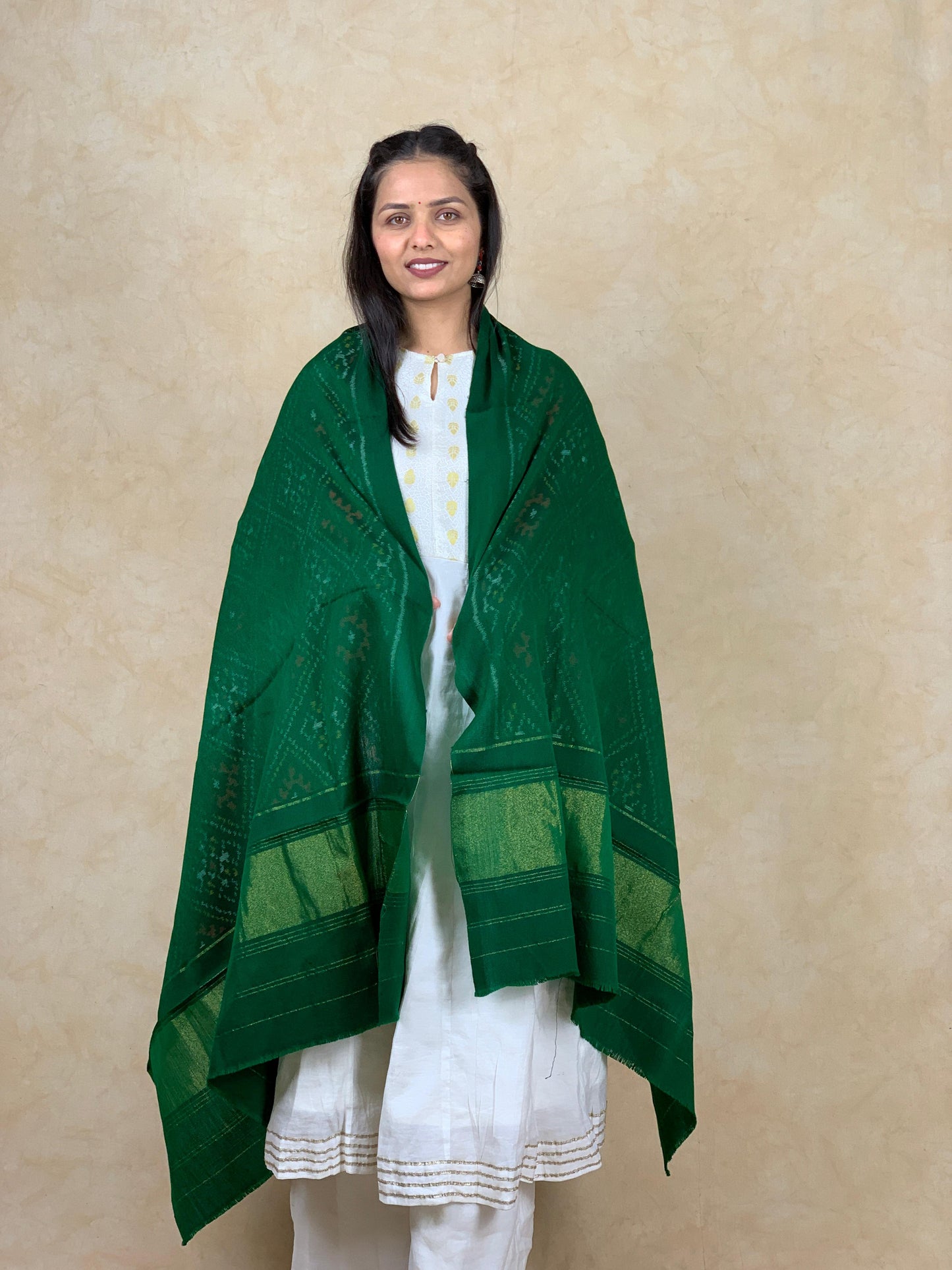 Kavya | patola shawl