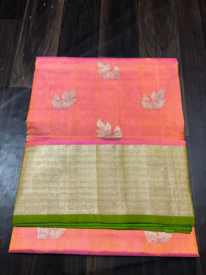 Hana | Venkatagiri Pattu saree