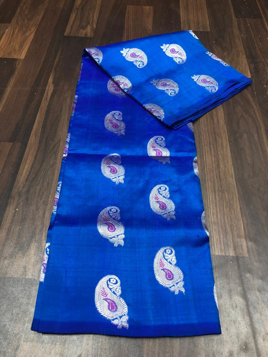 Urvi | Venkatagiri Silk saree