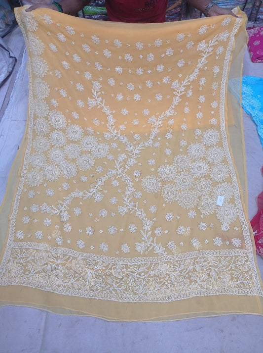 Avni | Georgette surya chikankari saree