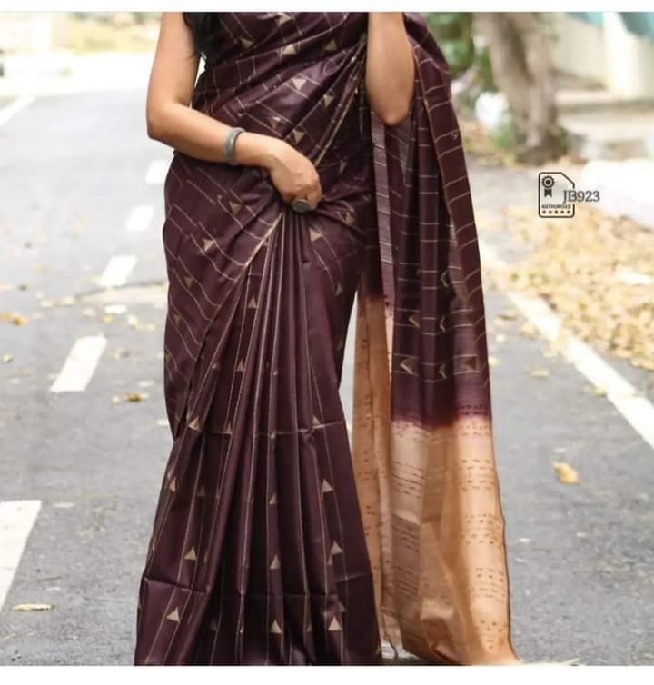 Vanya |  Bhagalpur Katan Silk Saree