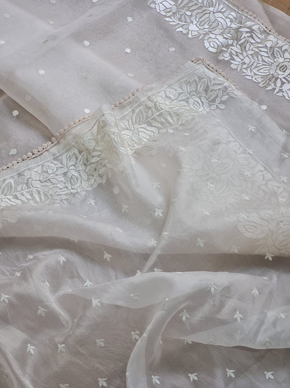 Samson | Organza silk parsi gara with embroidery and lace