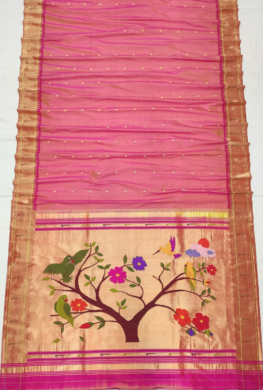 Patralekha | Single Reel Brocade border Pure silk Paithani