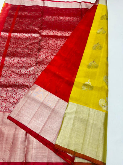 Panini | Venkatagiri handloom Pattu