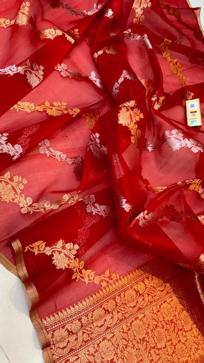 Avni | kora organza silk benarasee saree