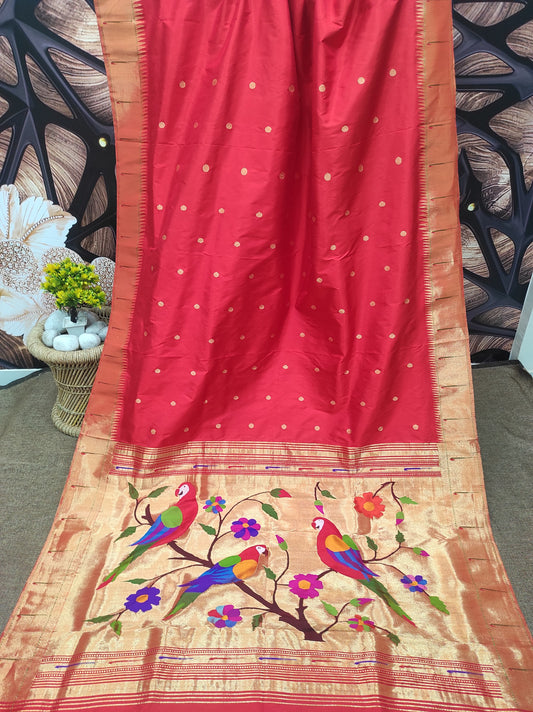 Ucchal | SINGLE MUNIYA BROCADE PAITHANI SAREE