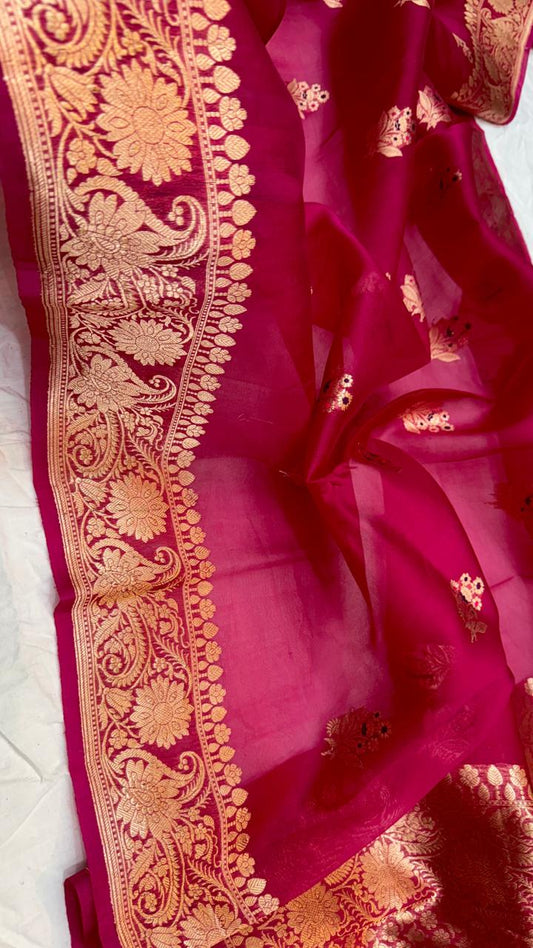 Ashika | Banarasee handloom kora organza silk saree