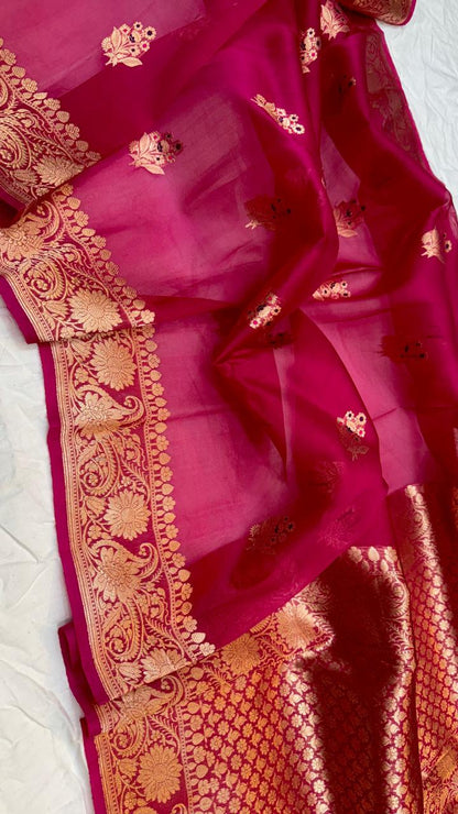 Ashika | Banarasee handloom kora organza silk saree