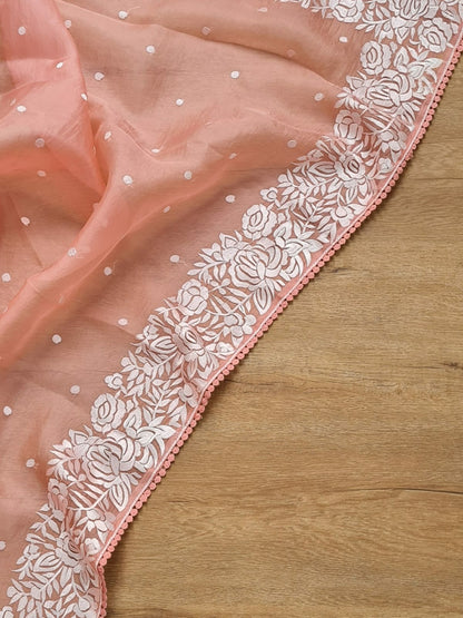 Samson | Organza silk parsi gara with embroidery and lace