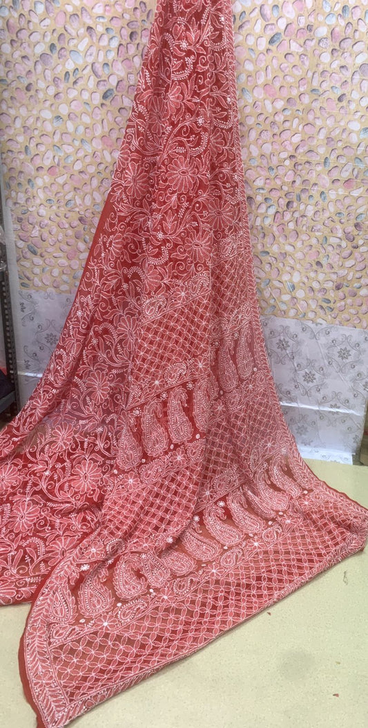 Woven Rhythms ~ Chikankari jaal on georgette saree