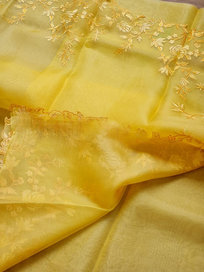 Khwab | organza silk tilfi cutwork saree