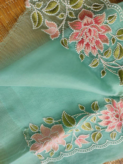 Zoey  | Pure organza silk saree