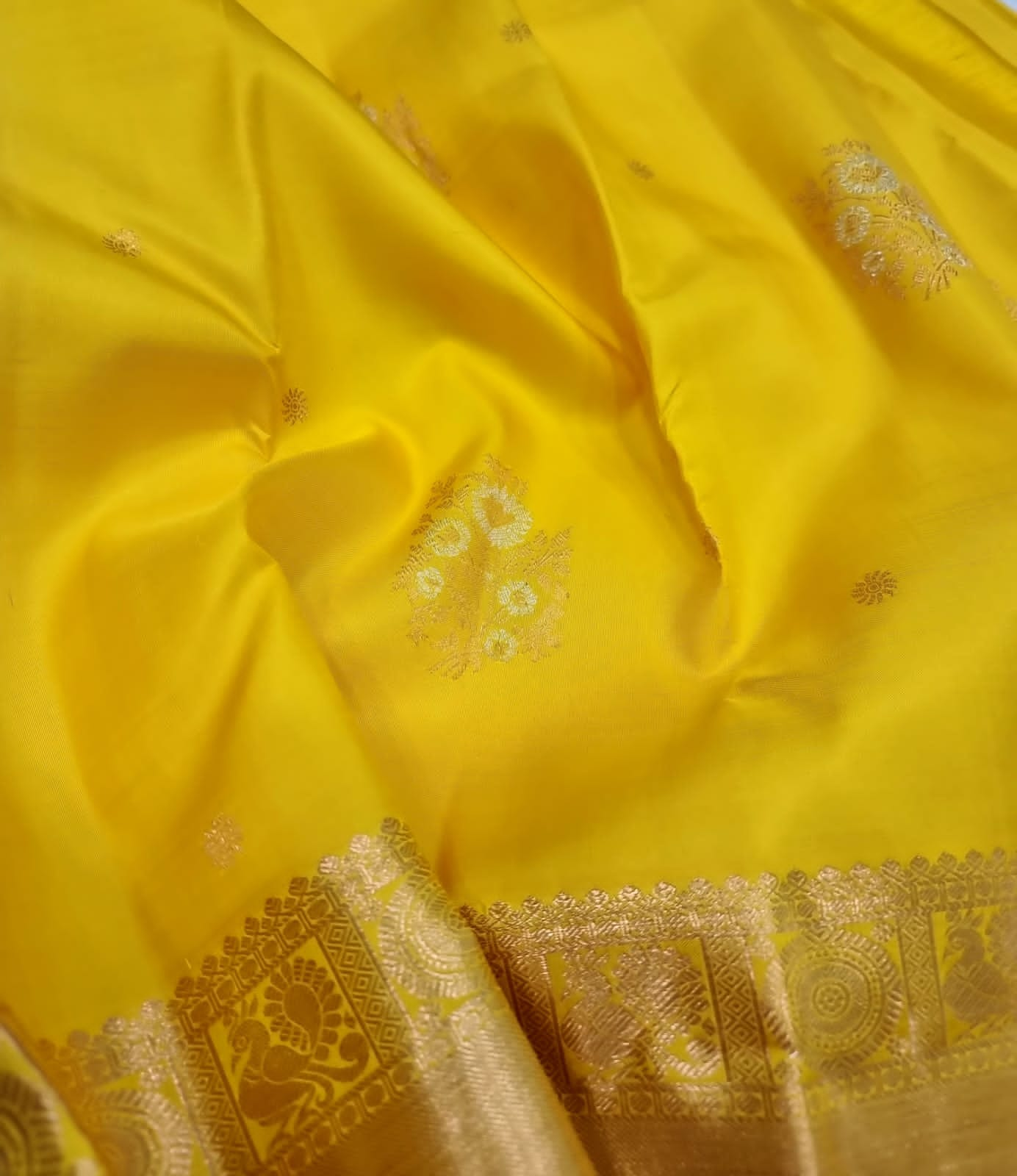 Daisies | pure silk kanjeevaram