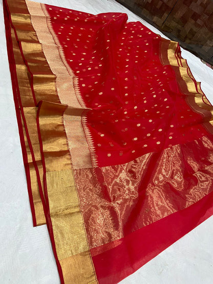 Sophia | Chanderi in Katan Silk