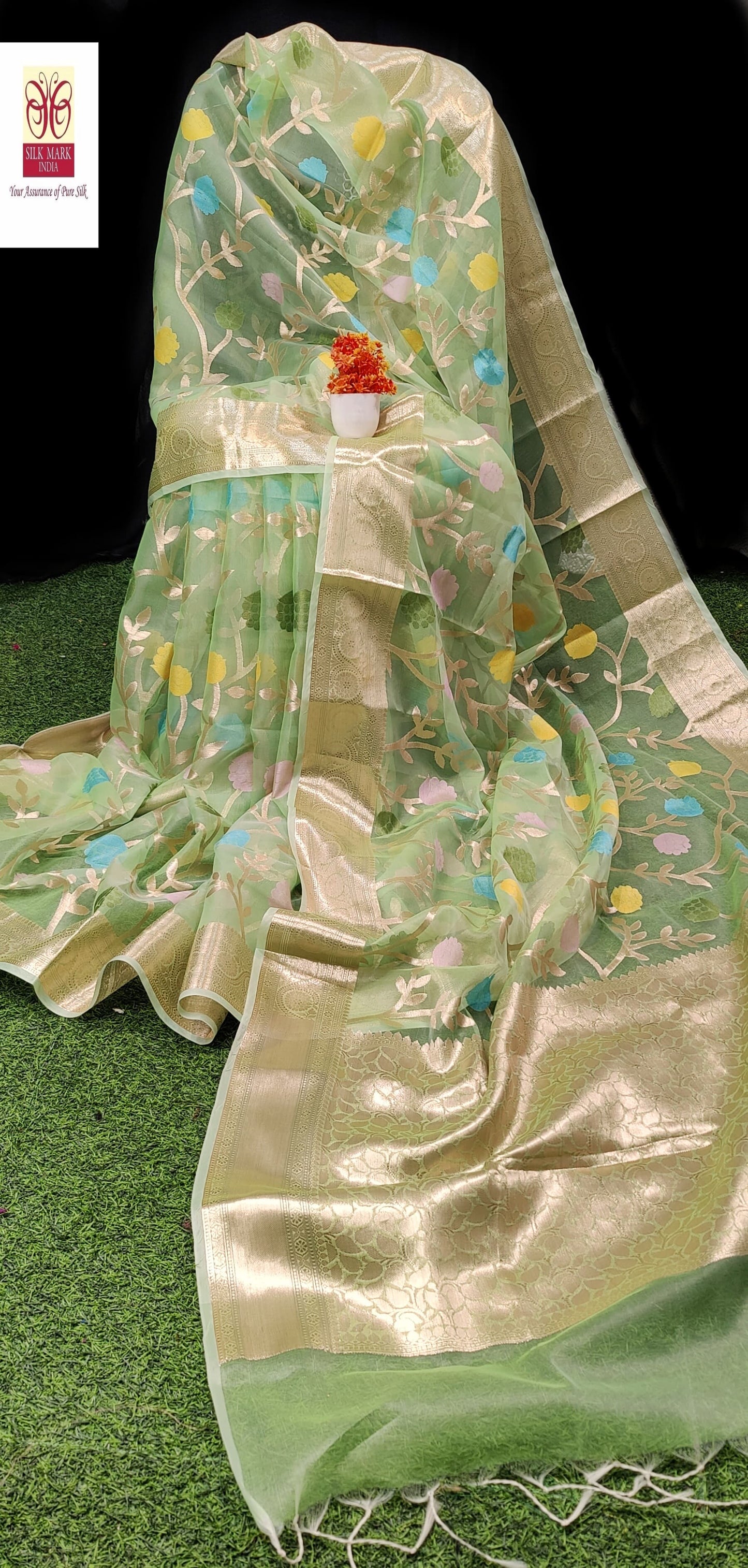 Pari | Organza Benarasee Saree in Palegreen color