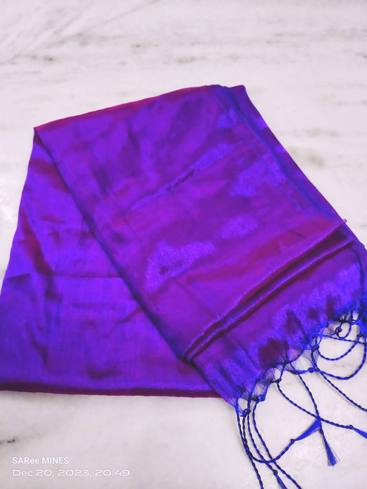 Sharvi | Tissue Saree with multiple cotton