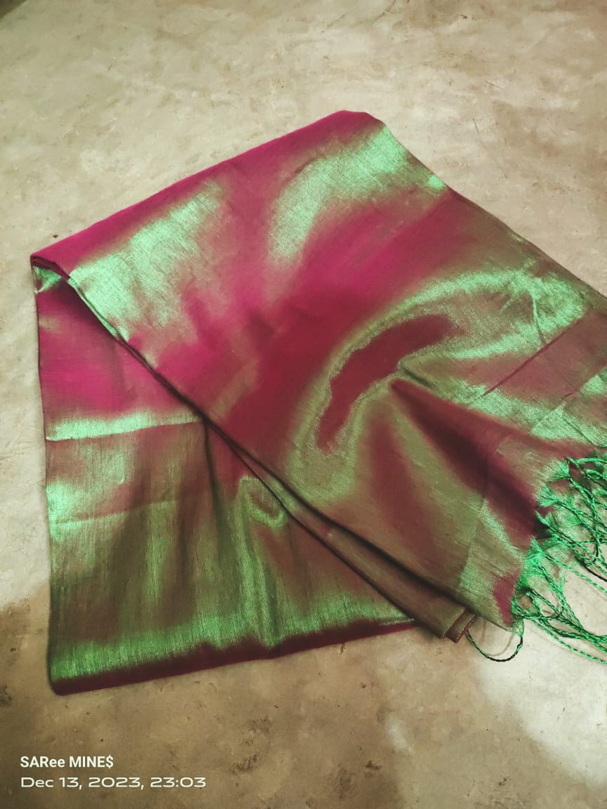 Myra | Tissue Saree with multiple cotton