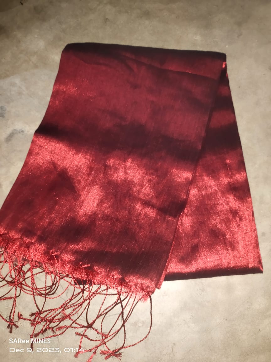 Aarna | Tissue Saree with cotton