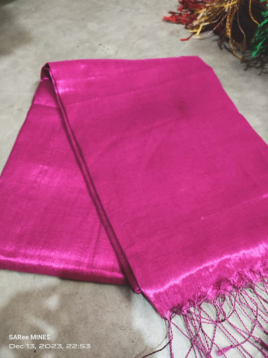 Ayra | Tissue Saree with multiple cotton