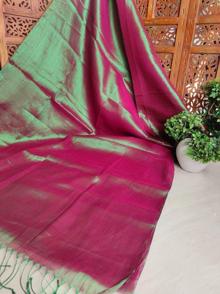 Lucky | Tissue Saree with multiple cotton