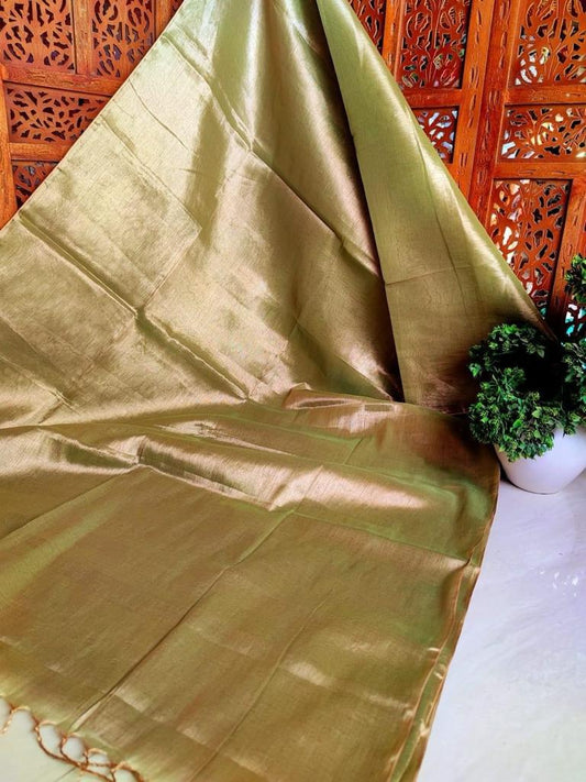 Ziana | Tissue Saree with multiple cotton