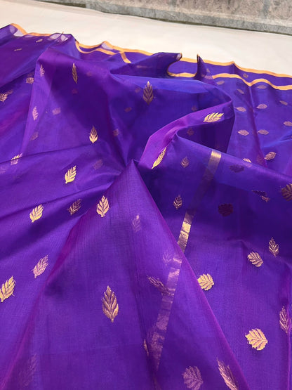 Chandrakanti  | Katan Silk Chanderi Saree