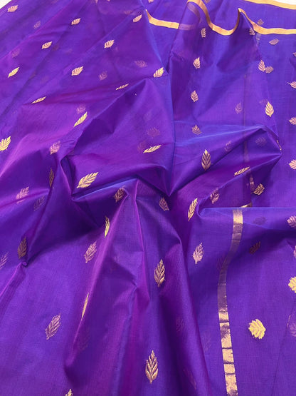 Chandrakanti  | Katan Silk Chanderi Saree