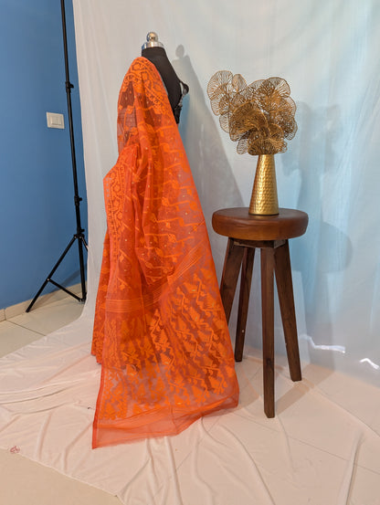 Ashley| Cotton silk dhakai saree