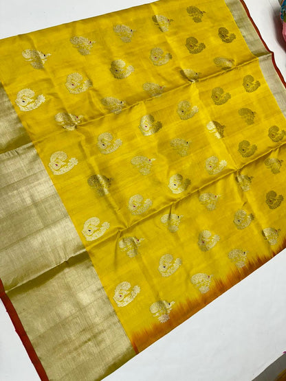 Panini | Venkatagiri handloom Pattu