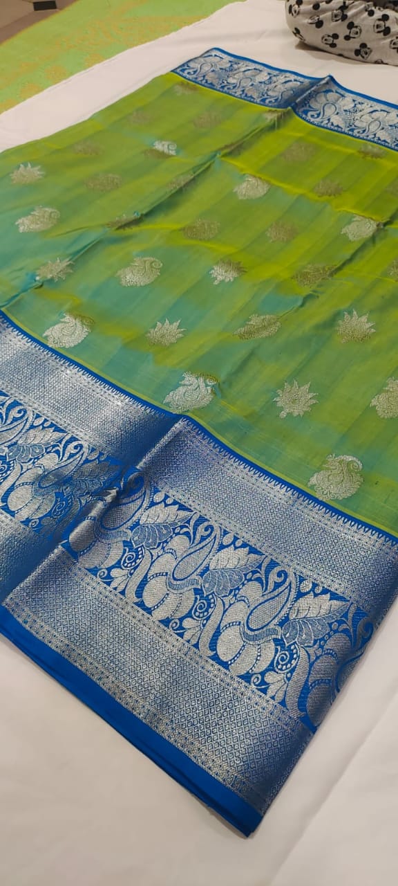 Baghyawati | Venkatagiri Silk sarees