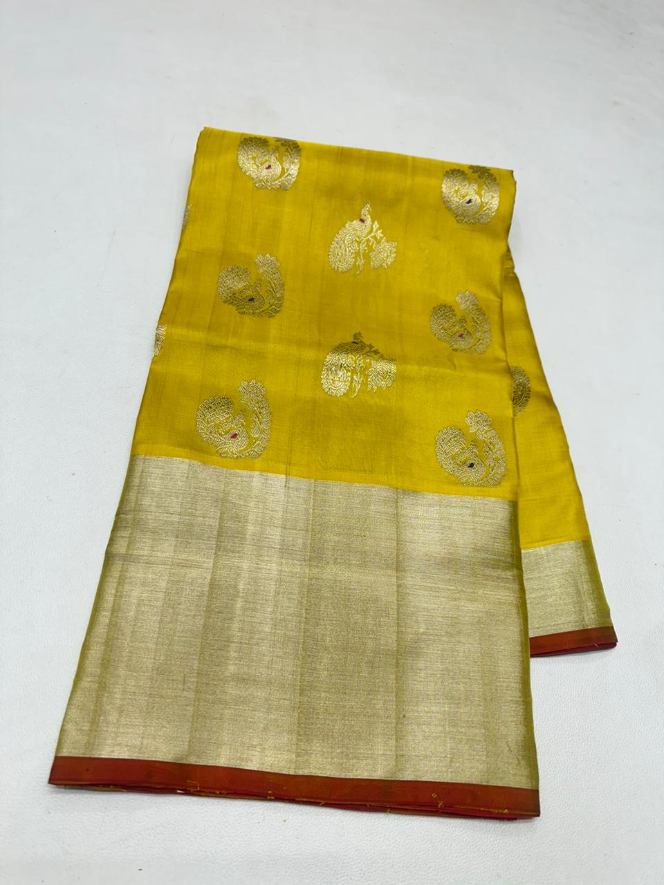 Panini | Venkatagiri handloom Pattu