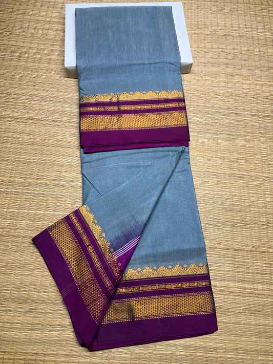 Ilaziaana | Blended Silk Ilkal Saree