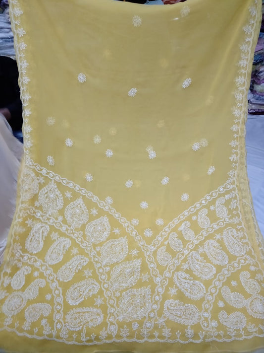 Leena-Chikankari-saree | Georgette chikankari saree