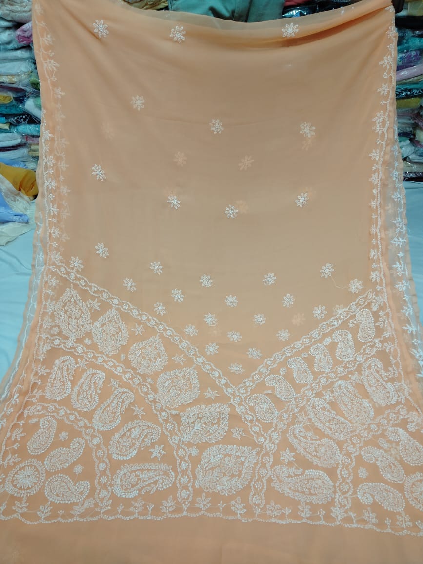 Lauren-Chikankari-saree | Georgette chikankari saree