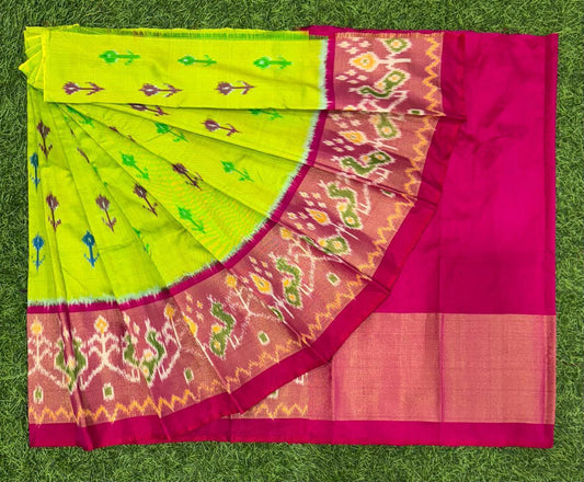 Bhavshree | Pochampally Ikat silk saree
