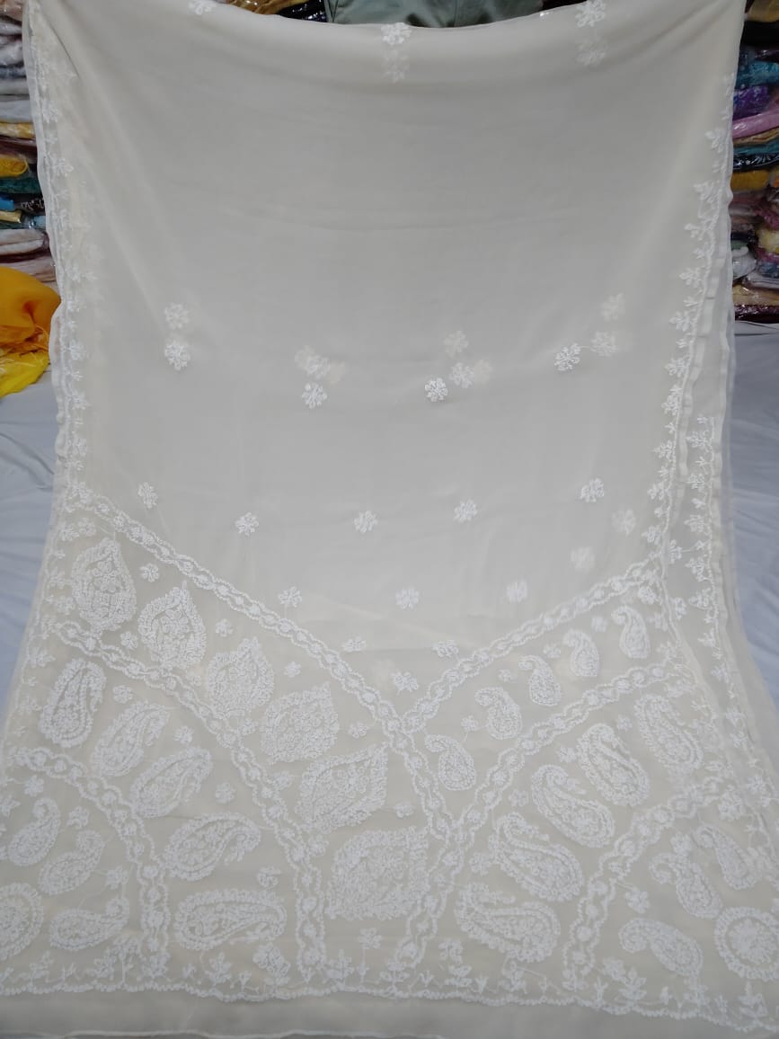 Madhumitha | Georgette chikankari saree