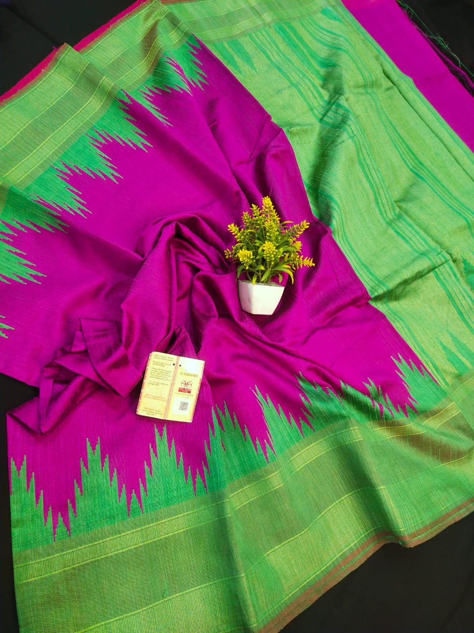 Sionika | Raw Silk Temple Border Saree