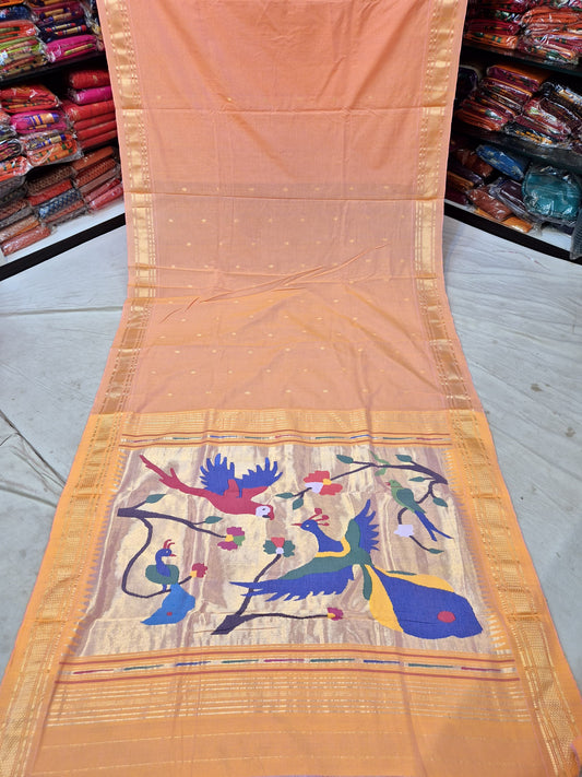 Hamsika | Cotton Handloom Paithani Saree