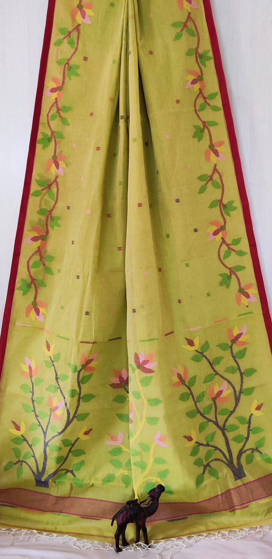 Jayamani | handwoven Cotton Needlework jamdani saree