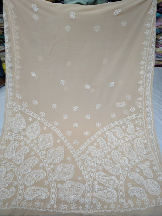 Leela-Chikankari-saree | Georgette chikankari saree