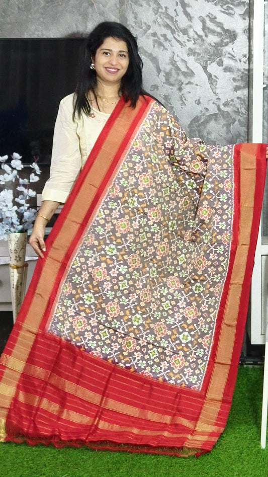 Ishanvi | Ikat pure silk dupatta