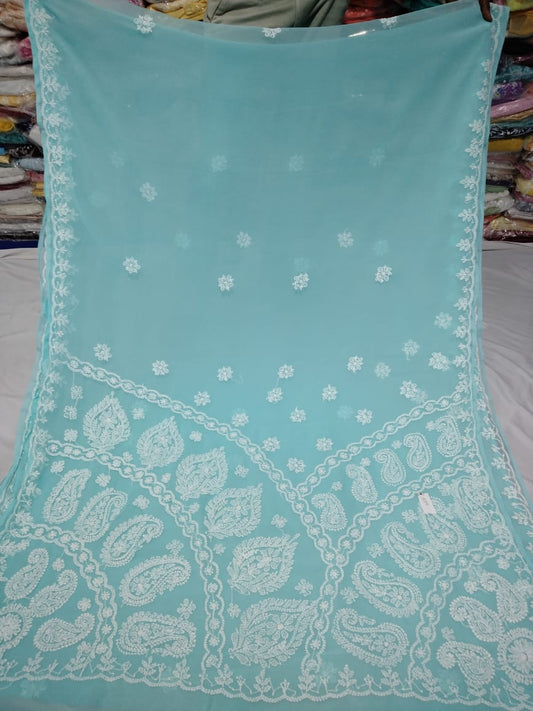 Laya-Chikankari-saree | Georgette chikankari saree