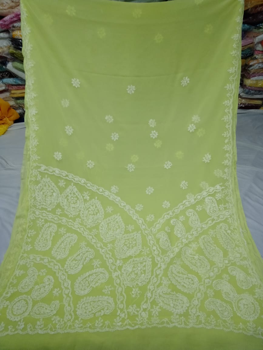 Madhavi-Chikankari-saree | Georgette chikankari saree