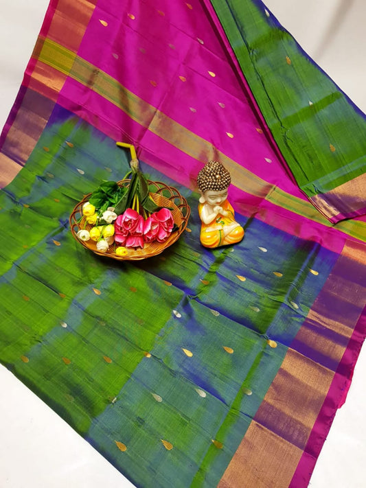 Urnti | Uppada-Pattu-Nakshatra butti-Saree