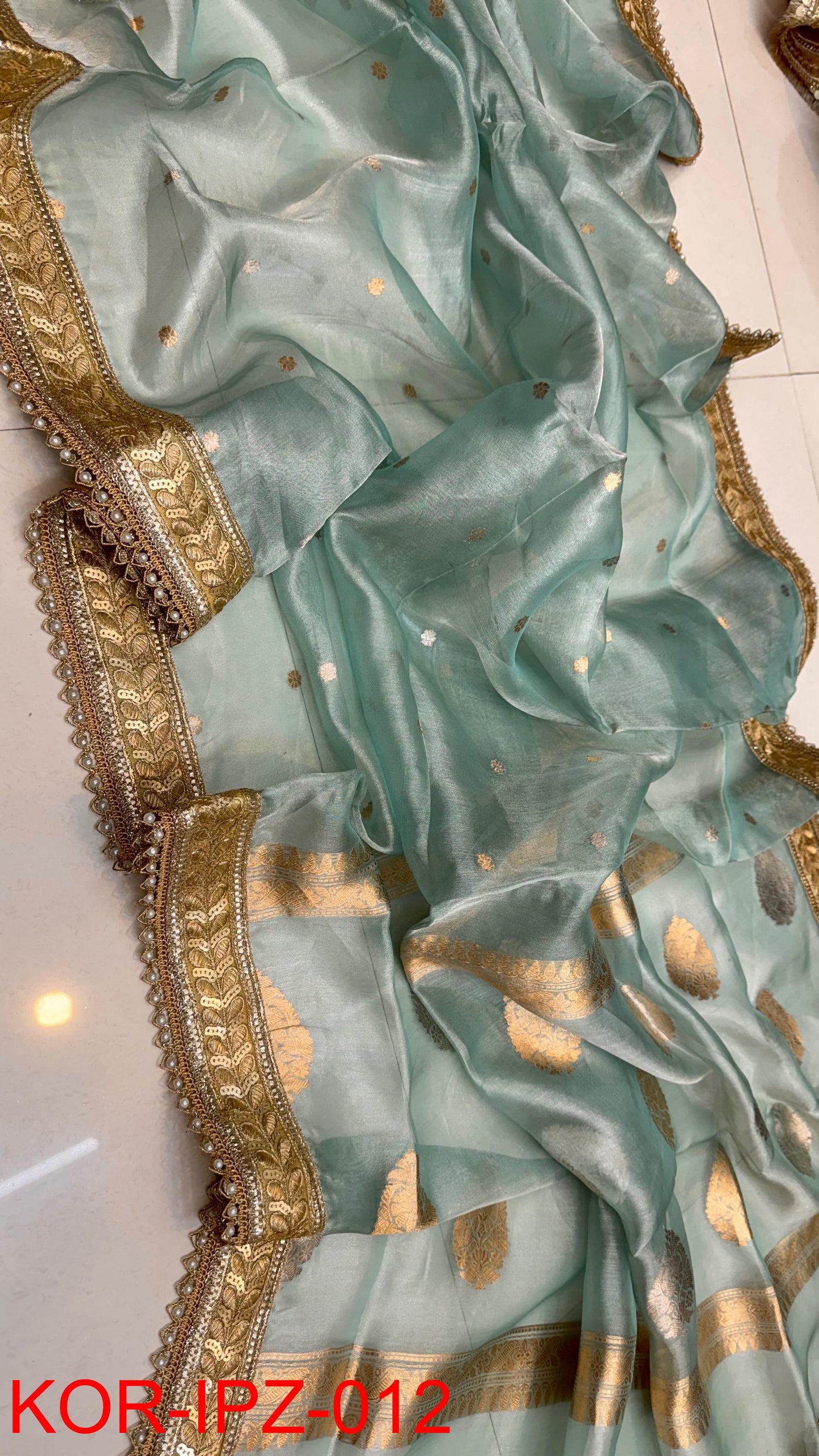 Aarohiani | Banarasi Tissue Silk Saree