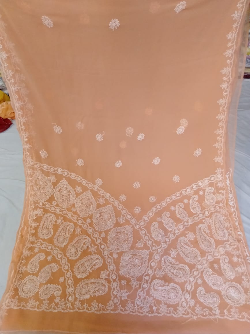 Lisa | Georgette chikankari saree